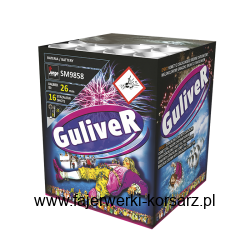 SM9858 - Guliwer 16s 0,9" I
