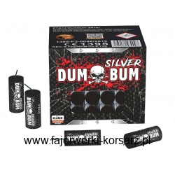 P7A14 - DumBum Silver